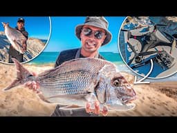 Beach Drone Drop Goes Off – Snapper on the Chew + Surprise Catch!
