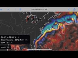Marine Heat Waves and Strange Gulf Stream SST Anomalies: Ocean Wilding, Weirding, and Whiplashing