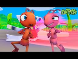 Joey & Boo's Wild Speed Adventure! | ANTIKS | Kids TV Shows | Cartoons For Kids | Popular video