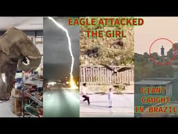 MOST STRANGEST THINGS EVER FILMED ON CAMERA that Will LEAVE YOU SPEECHLESS