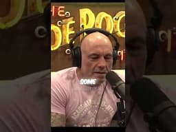 🥊Joe Says "KSI Is A Legit Boxer" #jre #ksi #dannis #boxing