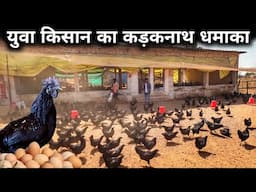 युवा किसान बना कड़कनाथ स्टार | Kadaknath Poultry Farming | Kadaknath Murga | Kadaknath Chicken Farm