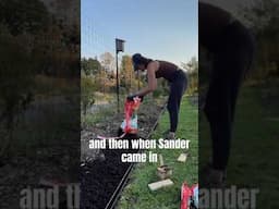 Early Spring Garden Tour #botanylovers #garden #gardentour #spring