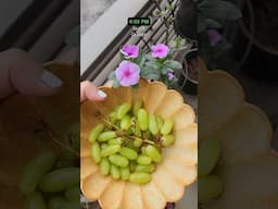 Ep: 4 Weightloss on a Busy Work Day #weightloss #weightlossjourney