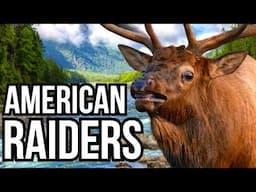 4 American Invaders That Have Taken Over At Least 2 Other Continents