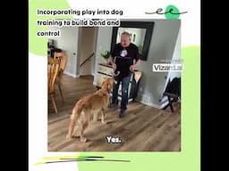 Incorporating play into dog training to build bond and control