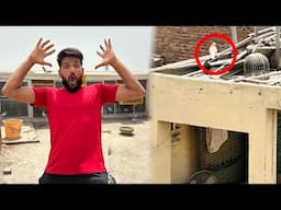 Aaj Kisi Kay Ghar se 1 lakh wala kabootar paker nay agye😳😳