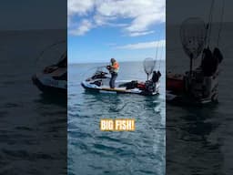 Expensive fish with one flick of the tail! #jetskifishing #fishing #seadoo #hookit #overboard #ohno