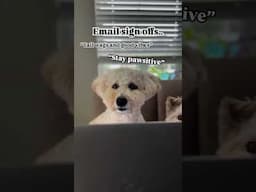 Every hour would be yappy hour 🤭🤭🤭