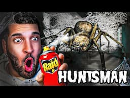 IF YOU FEAR SPIDERS DO NO WATCH | Huntsman