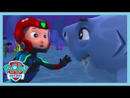 Luring The Shark Away! | Paw Patrol | WildBrain Kids