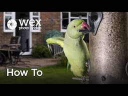 How To | Remotely Photograph Local Wildlife with @TomMasonPhoto & Atomos