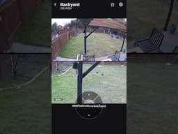 Experience the freedom of with the solar powered Cam3! Enjoy your outing time with home security