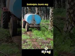 పేడ ఎరువు 10 రోజుల్లో కంపోష్టుగా పంటకు || Buffalo Waste, Crop Boost || Karshaka Mitra #Shorts #agri