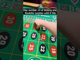Day 14: Betting on ONE Roulette Number! #casino #gambling #roulette