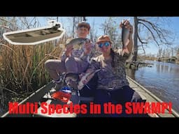 Jon Boat Mission: Multi Species in the Swamp!