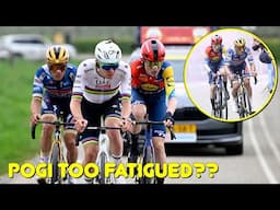 How Pogačar Got CHASED DOWN At Amstel Gold