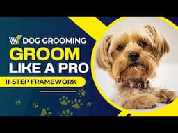 My Proven Steps to Groom any Dog