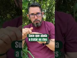 Essa árvore da calçada pode salvar seus rins