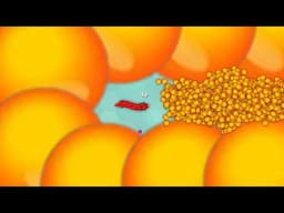 Snake.io Lovely Snake Pro Skill Epic Snake io Top1 Gameplay!