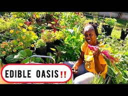 Turn Your BACKYARD Into a THRIVING FOOD FOREST Oasis Now!