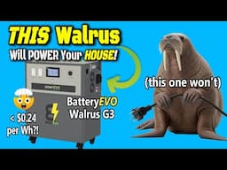 BatteryEVO's Walrus G3 - Whole House Backup Power CHEAPER than DIY?!? YES!!