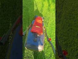 Tuesday Trim for the lawn!!