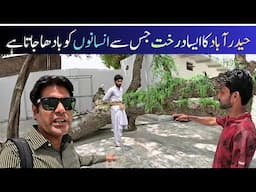 Shocking Tree in Hyderabad Used for Jinn Possession Ritual – Dark Tradition Exposed