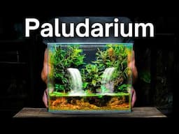 I Made a Paludarium With Flowing Waterfalls, Here's How!