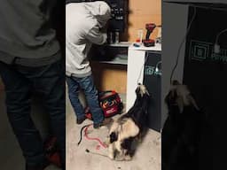 “When the new guy doesn’t actually know his shit”