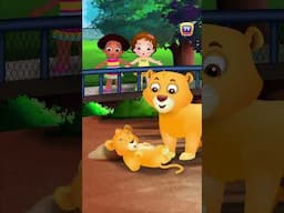 Are You Sleeping? Baby Wild Animals  #Shorts #ChuChuTV #NurseryRhymes #KidsSongs #animalsongs