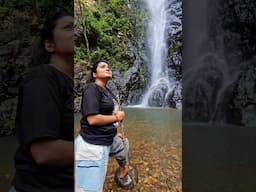 বিদেশ নয় ভারত, Goa Netravally wildlife forest. #goa #arpitabiswas #ytshorts #travel