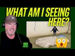 New method Vl Terrible dirty sweet rug cleaning (REACTION)