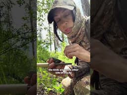 Hunt turkey with me #shorts