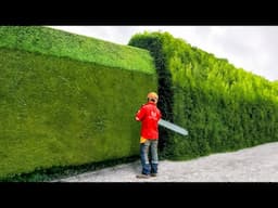 Satisfying Videos of Workers Doing Their Job Perfectly