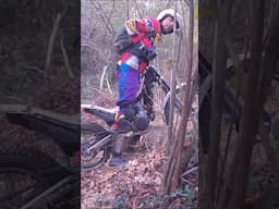 Scavalca il tronco morto
