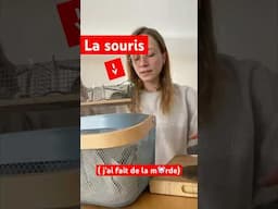 J’avais enfin attrapé la souris 😭💀😭💀😭💀😭💀😭 ( ok c’est entièrement ma faute)