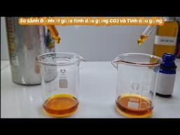 Nhận biết Tinh dầu Gừng chiết xuất CO2 lỏng siêu tới hạn với tinh dầu gừng
