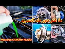 ما هو دور ماء التبريد. هل يعتمد تبريد محرك السيارة على الزيت أم الماء؟
