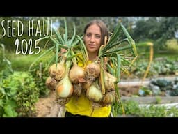 Seed Haul 2025 - Best High Yield Varieties of Aubergines, Onions, Tomatoes and Peppers