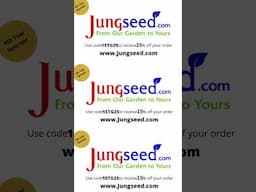Save on seeds from Jungseed.com #short