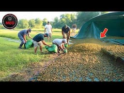 Incredible Moments Caught on Camera  (P145)