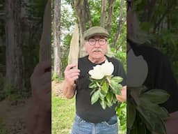 Celebrate Arbor Day with The Gestalt Gardener!