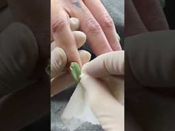 … Nail Art Inspo. https://sophianewnails.store/ 💗🌸🩷newnails #nailart #youtube #nails