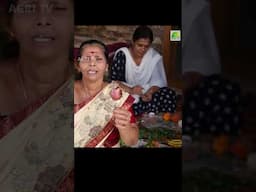 സവാള തൊലിയും വെളുത്തുള്ളി തൊലിയും! മനോഹരമായ പൂക്കൾ ഉണ്ടാക്കുവാൻ ഇത് മതി