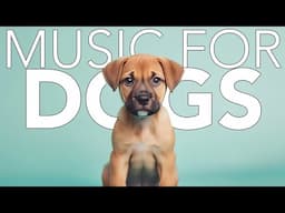 Morning Calm Music for Dogs – A Peaceful Start to the Day