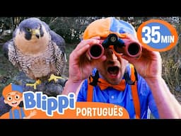 Blippi Procura Animais na Natureza! | Melhores Episódios do Blippi! | Vídeos de Animais