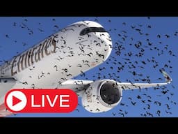 Swiss001 VS Viewers - Viewers Trigger Failures