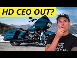 Yammie Noob Q&A - Answering Your Questions!