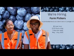 $11.00 Per Hour: CASH or PASS?